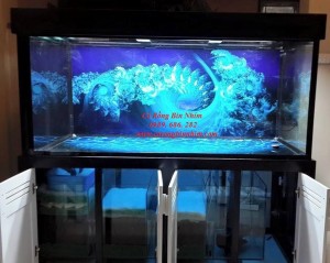Chuyên Thiết Kế Thi Công Lắp Đặt Bể Cá Rồng Ở Hà Nội