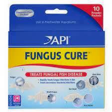 JAPI – Fungus Cure
