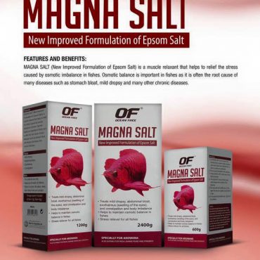 Magna Salt